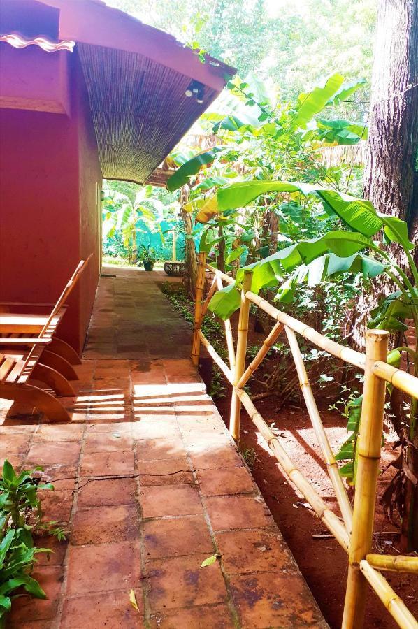 Casa Mapache Hotel Tamarindo Exterior foto