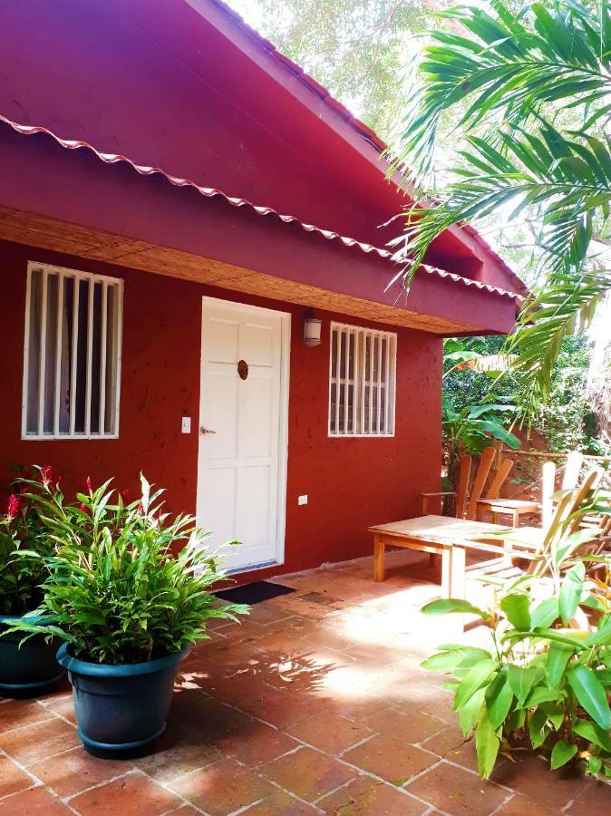 Casa Mapache Hotel Tamarindo Exterior foto