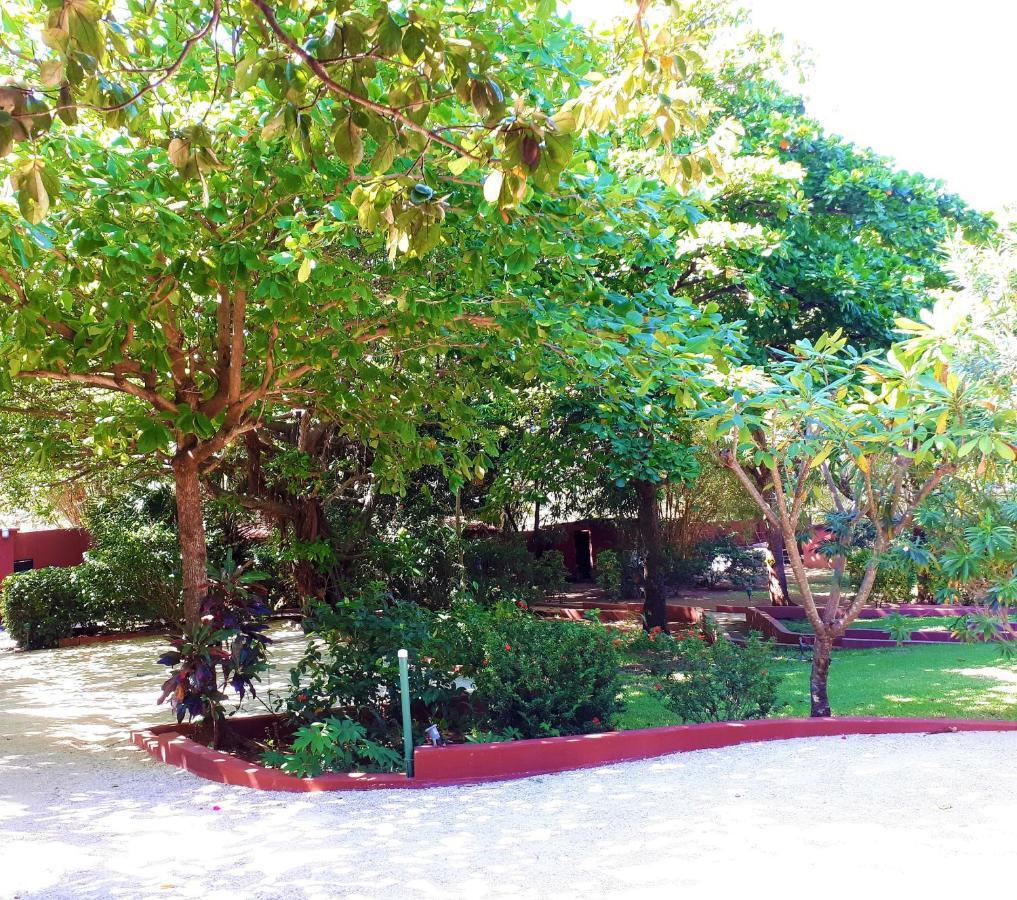Casa Mapache Hotel Tamarindo Exterior foto