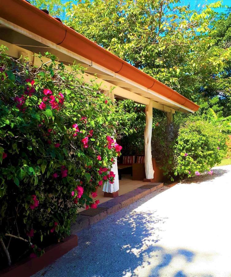 Casa Mapache Hotel Tamarindo Exterior foto