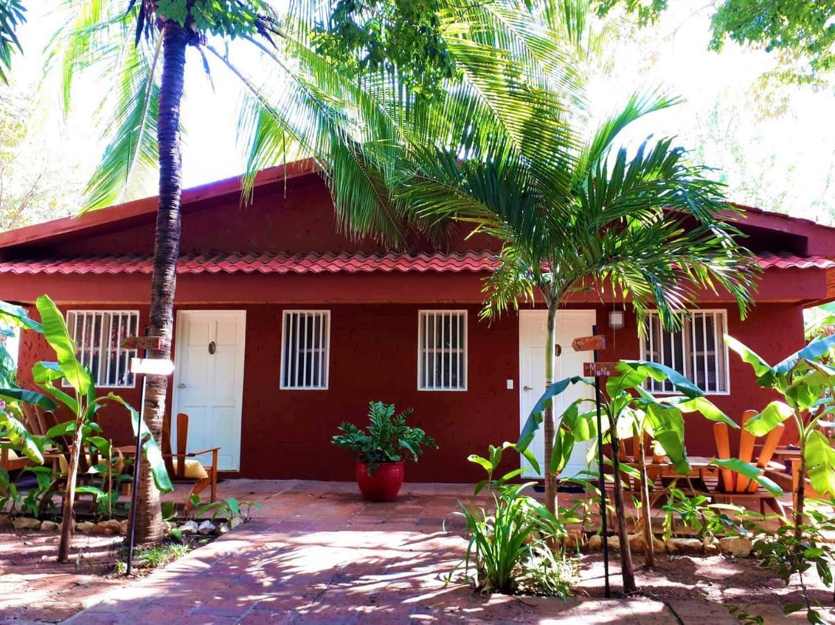 Casa Mapache Hotel Tamarindo Exterior foto
